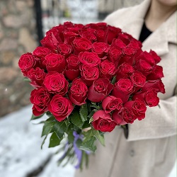 Акция, 51 красная роза Родос (Кения) 40см