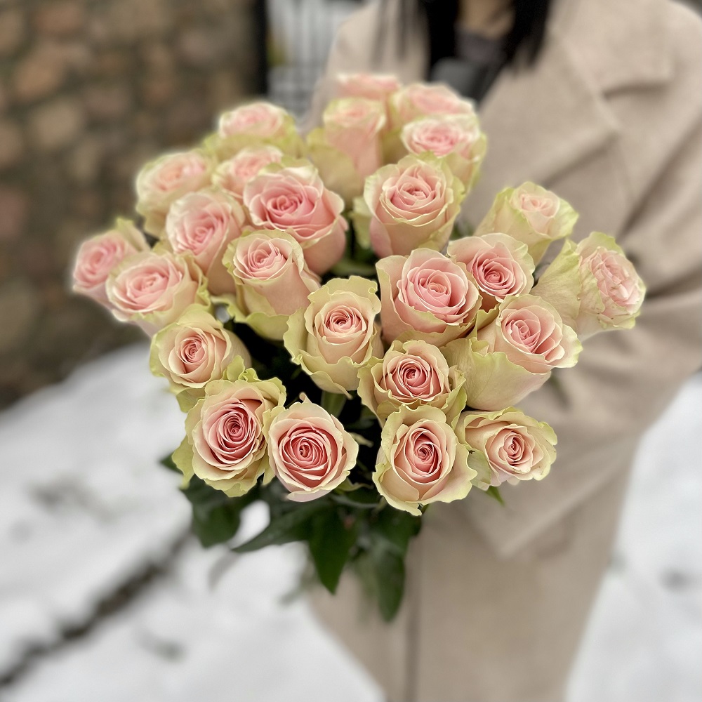 Акция, 25 роз "Фрутетто" (Эквадор) 60см