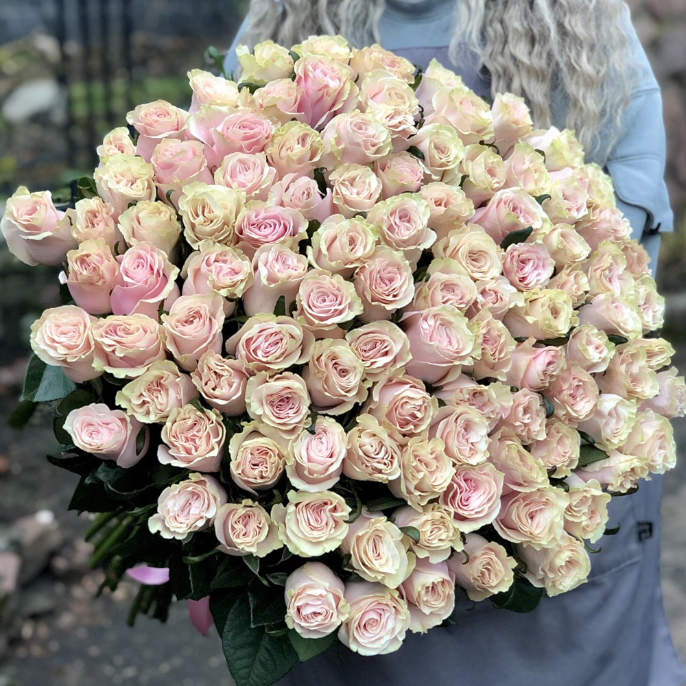 Акция, 101 роза "Пинк Мондиаль" (Эквадор) 60см