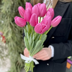 15 тёмно-розовых тюльпанов