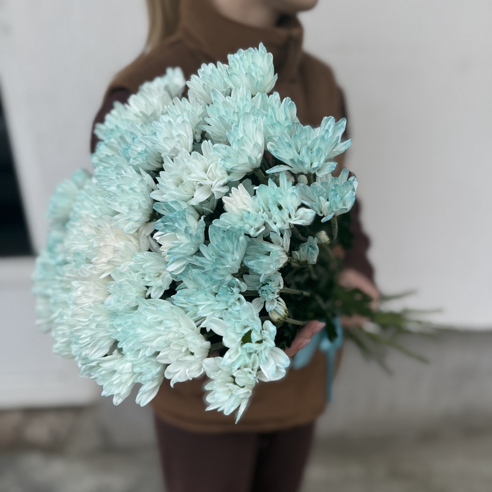 Акция, 15 бирюзовых хризантем