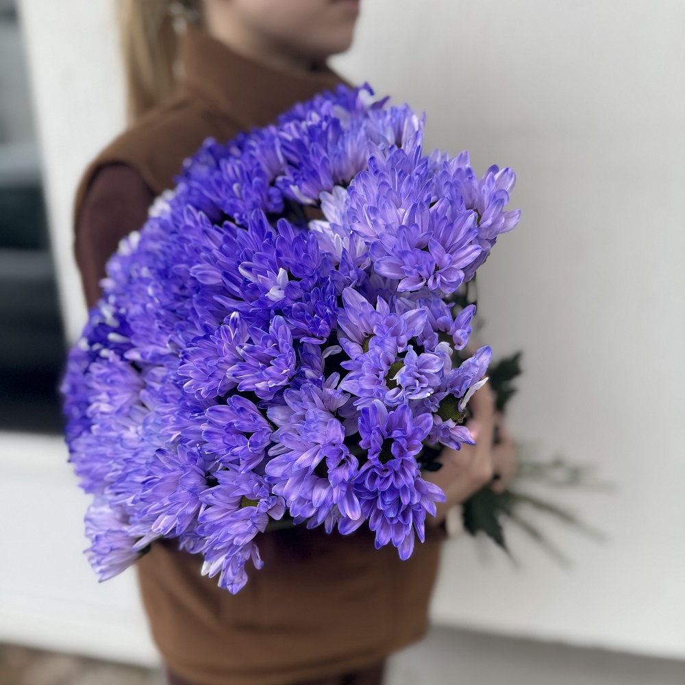 Акция, 15 голубых хризантем