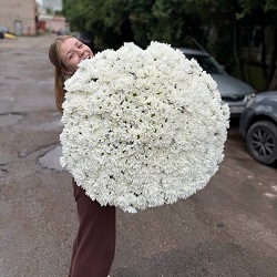 Акция, 101 хризантема "Бакарди"