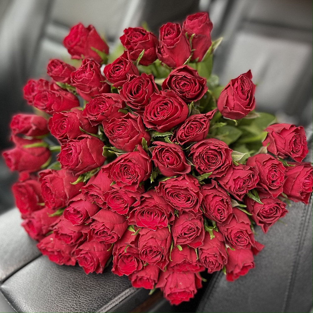 Акция, 51 "Кенийская Камала" 50см