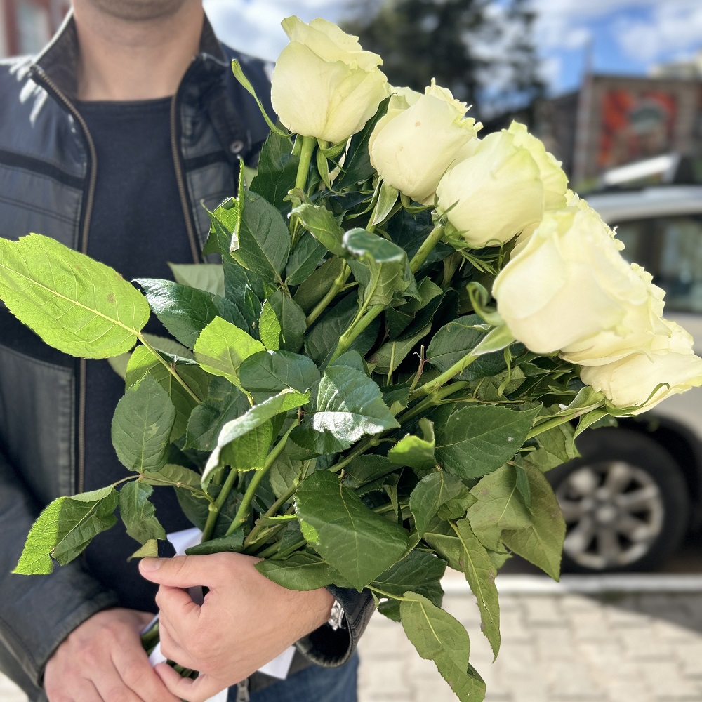 Акция, 25 роз "Мондиаль" (Эквадор) 60см