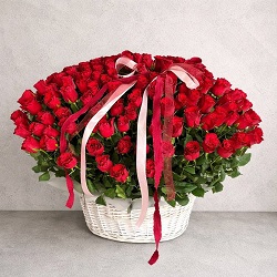 151 роза "Родос" в корзине