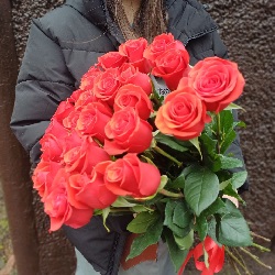 Акция, 25 роз "Нина" (Эквадор) 70см