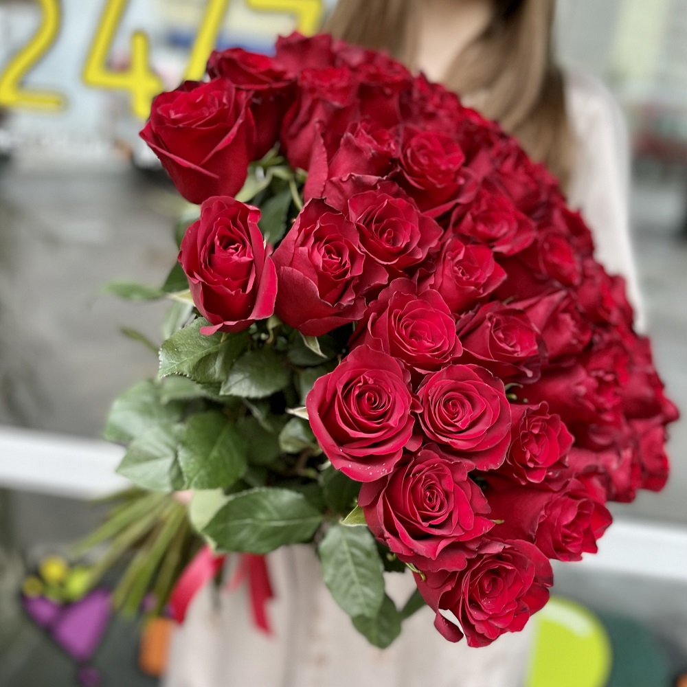 51 красная роза (Эквадор) 60см 51 красная роза (Эквадор) 60см