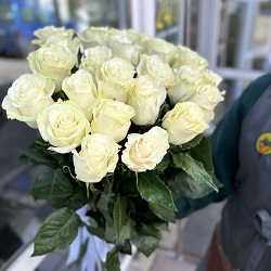 Акция, 25 роз "Мондиаль" (Эквадор) 70см