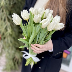 15 белых тюльпанов