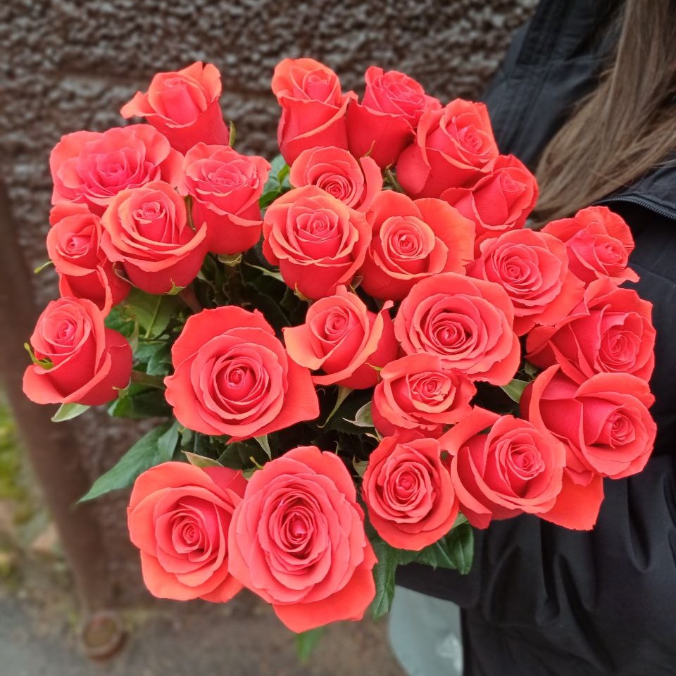 Акция, 25 роз "Нина" (Эквадор) 70см