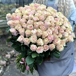 Акция, 101 роза "Пинк Мондиаль" (Эквадор) 60см