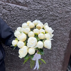 Акция, 25 белых пионов