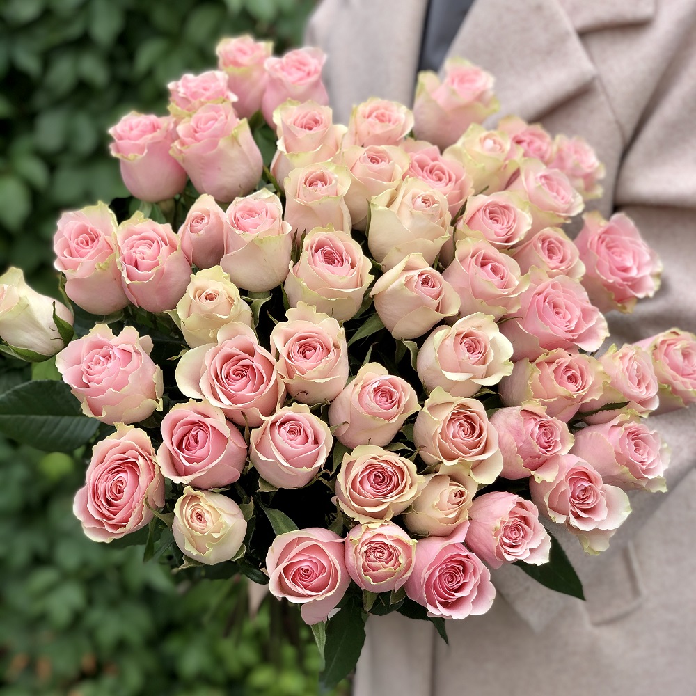 Акция, 51 "Кенийская Фрутетто" 60см