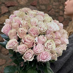 Акция, 51 роза "Пинк Мондиаль", (Эквадор) 60см Акция, 51 роза "Пинк Мондиаль", (Эквадор) 60см