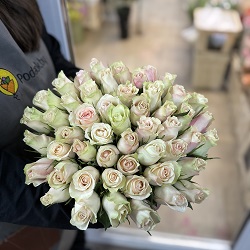 Акция, 51 "Кенийская Лабэлла" 40см