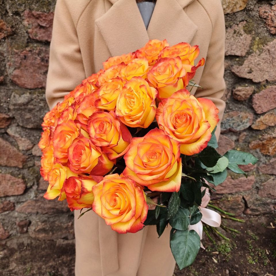 Акция, 25 роз "Хай Мэйджик" (Эквадор) 60см