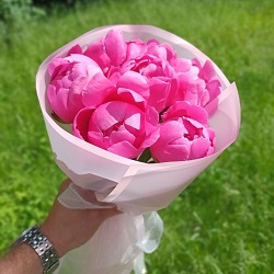 Букет из 7 "малиновых" пионов