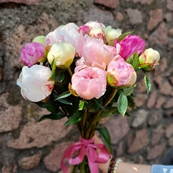 Акция, 15 пионов "Микс"