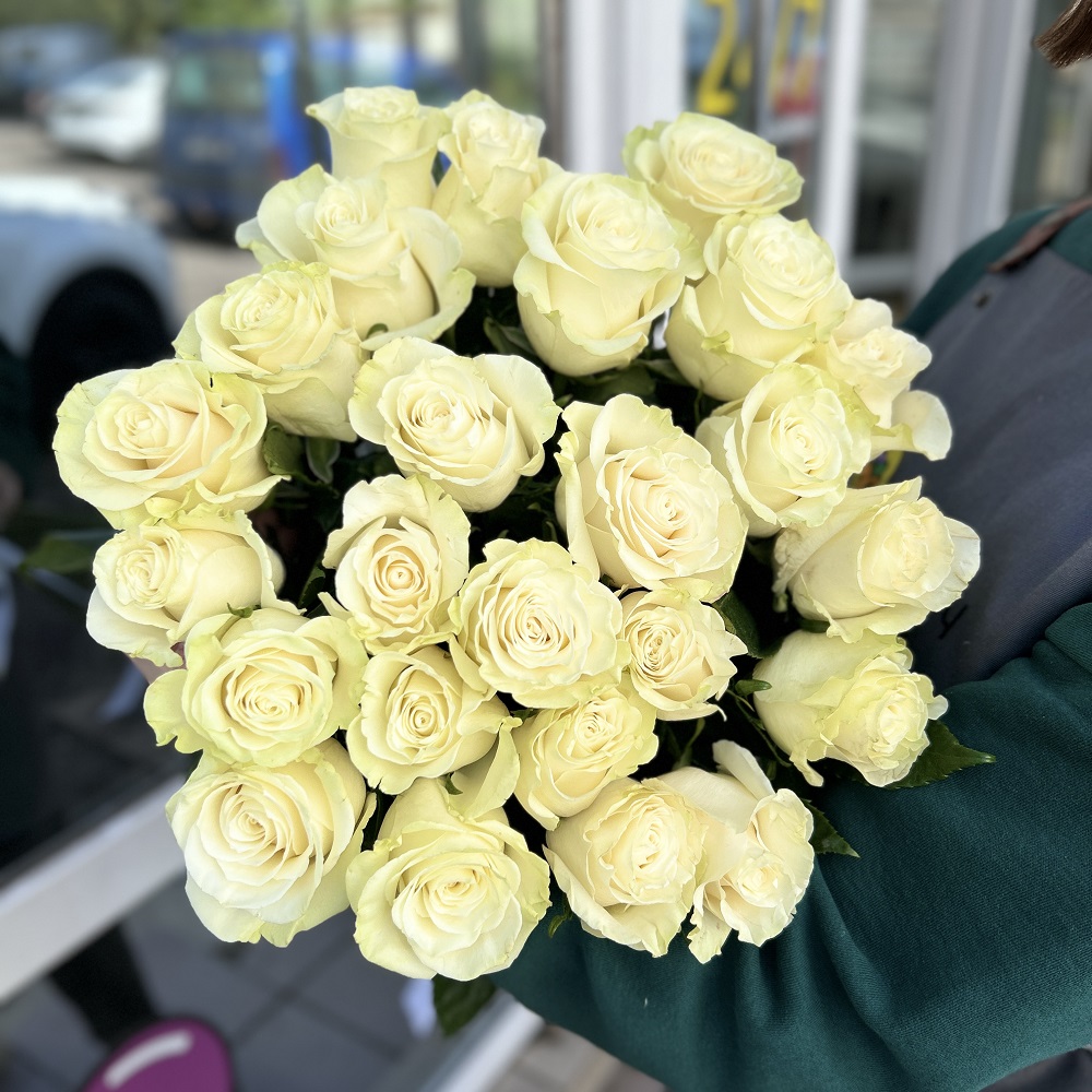 Акция, 25 роз "Мондиаль" (Эквадор) 60см