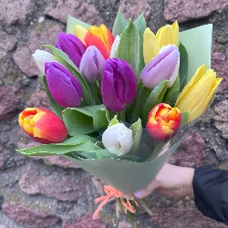 Микс из 15 тюльпанов