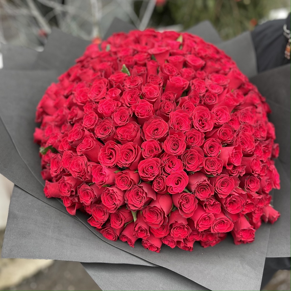 Букет из 303 премиум роз (Импорт)