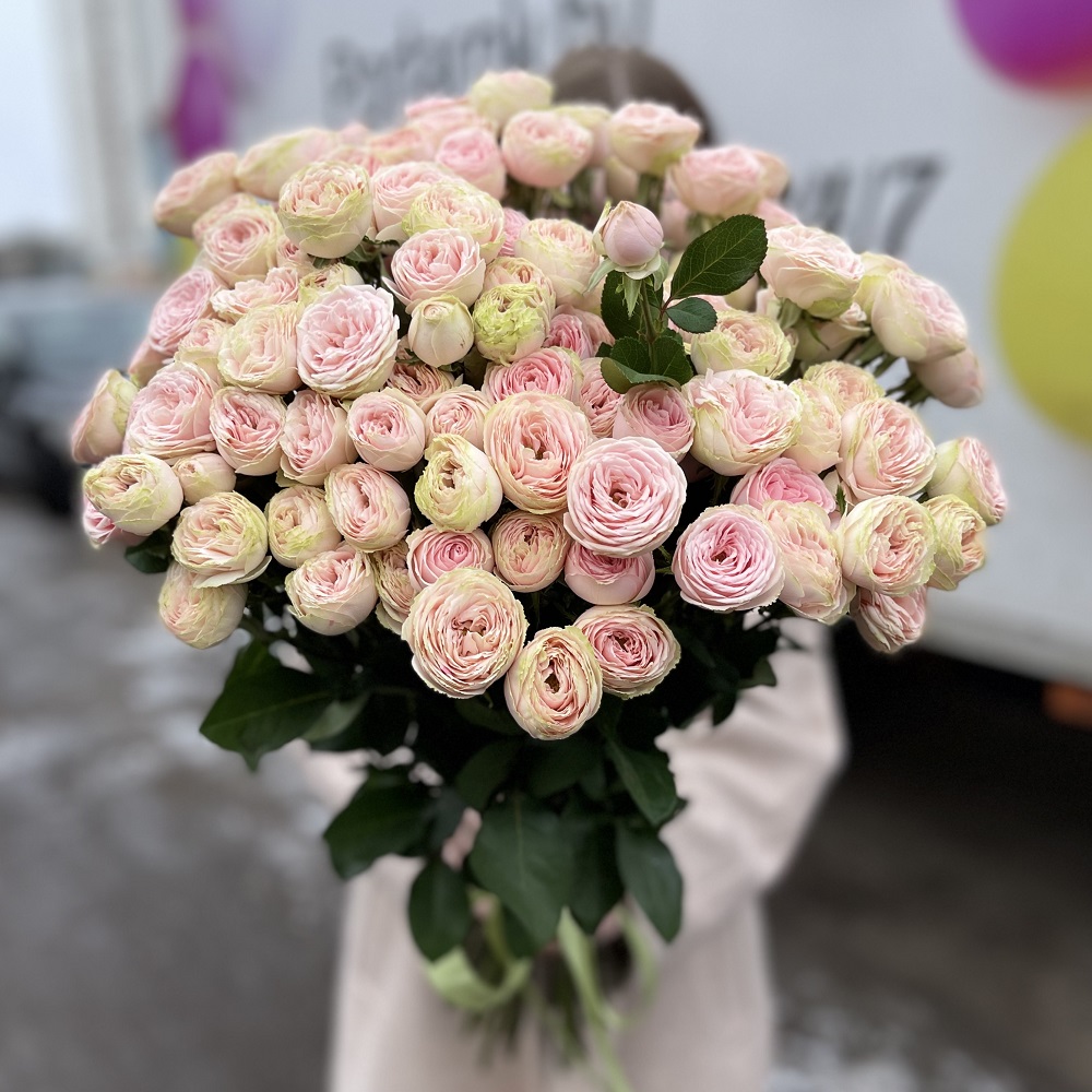 25 кустовых роз "Пинк Жизель" 60см