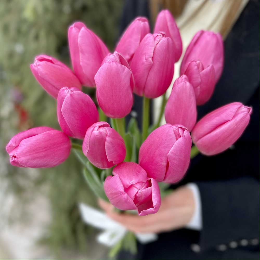 15 тёмно-розовых тюльпанов