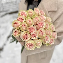 Акция, 25 роз "Фрутетто" (Эквадор) 60см