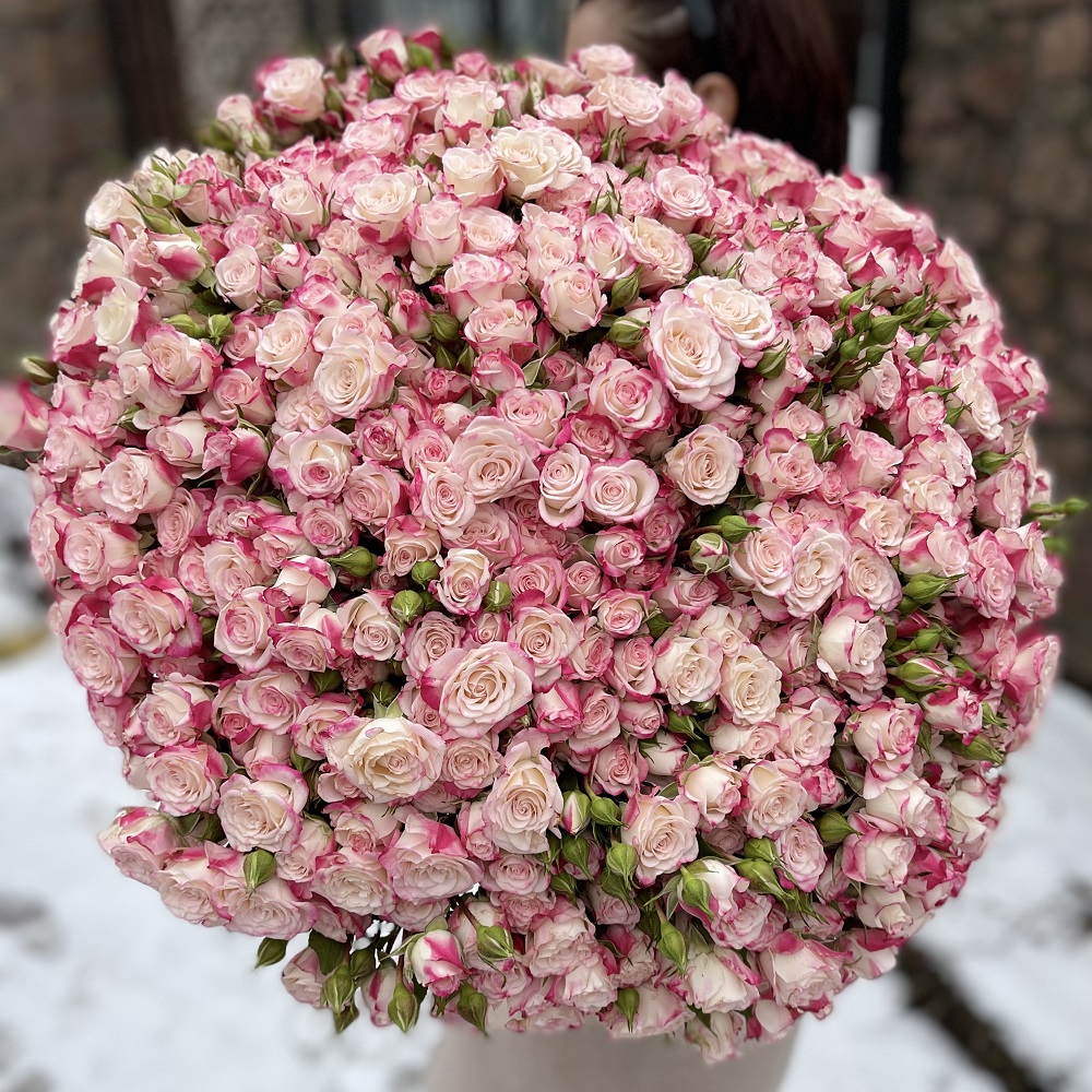 Букет из 101 кустовой розы "Рефлекс"