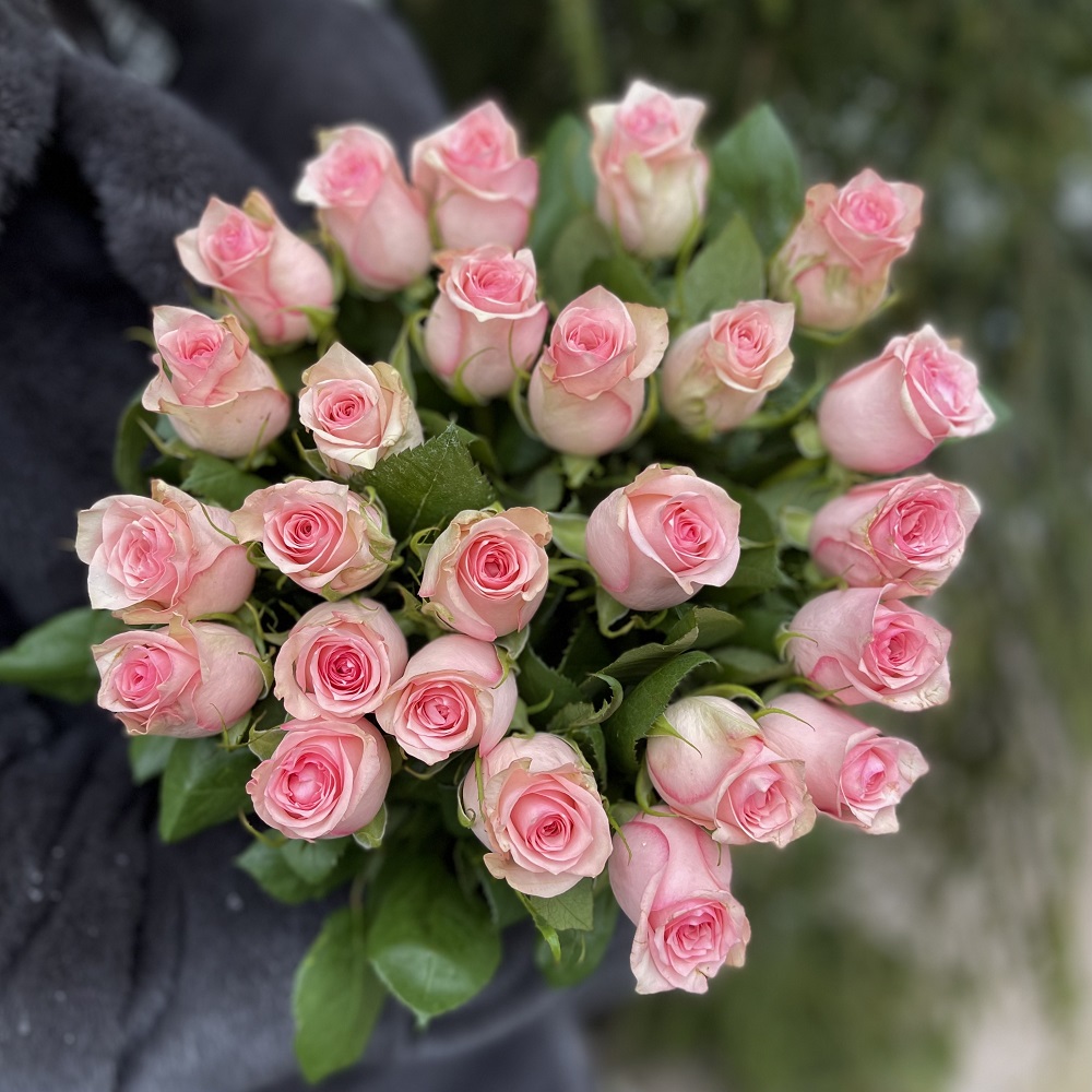 Букет из 25 роз "Кенийская Розовая" Букет из 25 роз "Кенийская Розовая"