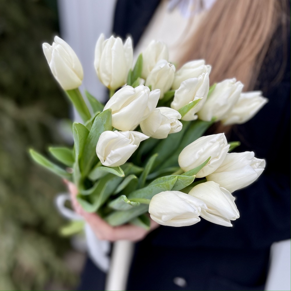 15 белых тюльпанов