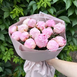Акция, 15 розовых пионов