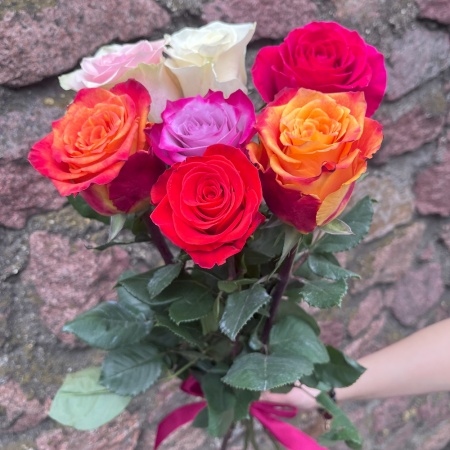 Акция, 7 эквадорских роз "Микс"