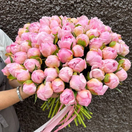 Акция, букет из 75 пионов
