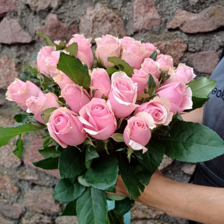 Акция, 25 роз "Кенийский Фламинго" 50см