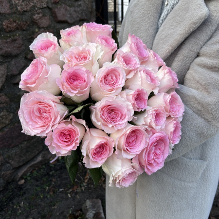 Акция, 25 роз "Мандала" (Эквадор) 60см