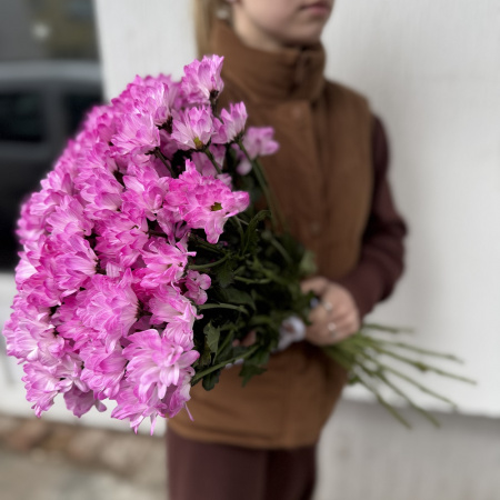 Акция, 15 розовых хризантем