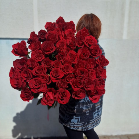 Акция, 51 красная метровая роза (Эквадор) 100 см