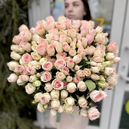 25 кустовых роз "Дансинг Квин"