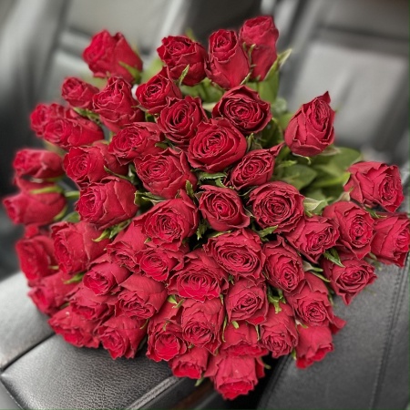 Акция, 51 "Кенийская Камала" 50см