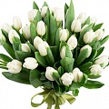 с тюльпанами