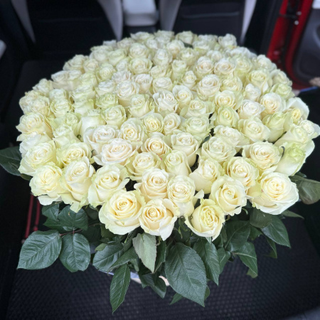 101 роза "Мондиаль" в корзине