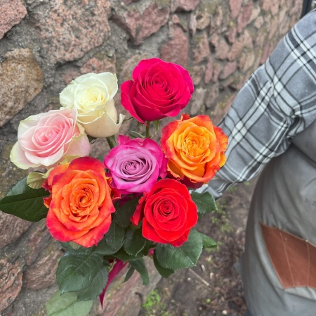 Акция, 7 эквадорских роз "Микс"