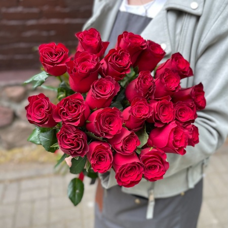 Акция, 25 красных роз Родос (Кения) 50см