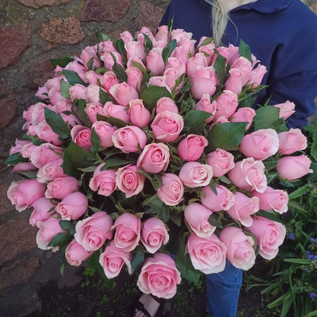 Акция, 101 роза "Кенийский Фламинго", Кения 60см