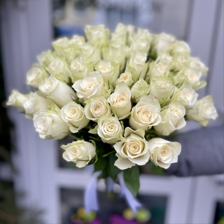 Акция, 51 "Кенийская Атена" 50см Акция, 51 "Кенийская Атена" 50см