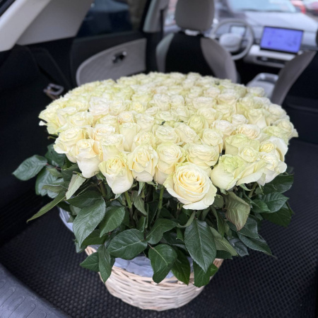 101 роза "Мондиаль" в корзине