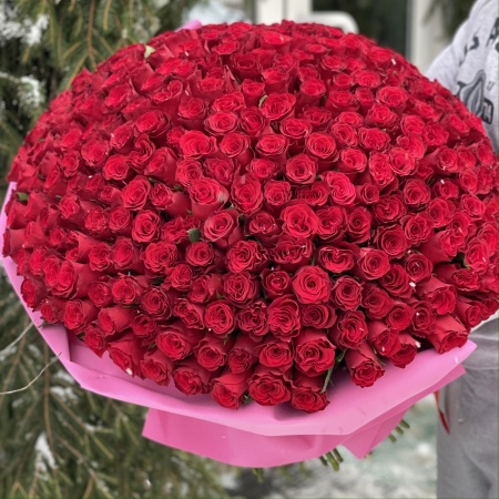 Букет из 303 роз (Импорт)