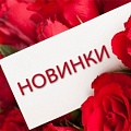 Новинки Новинки